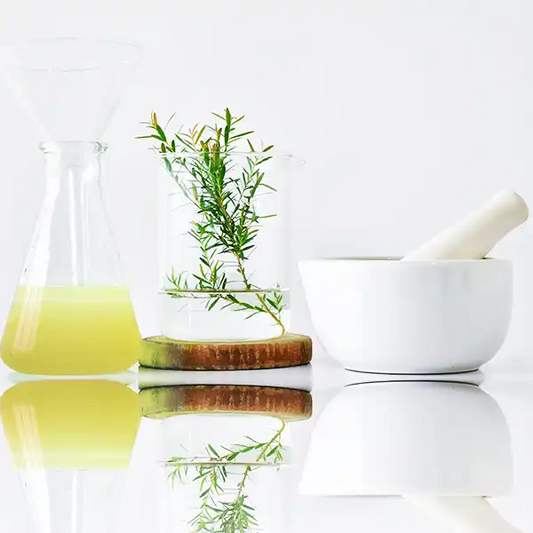 Carnosic Acid: The Science Behind Rosemary’s Skincare Benefits