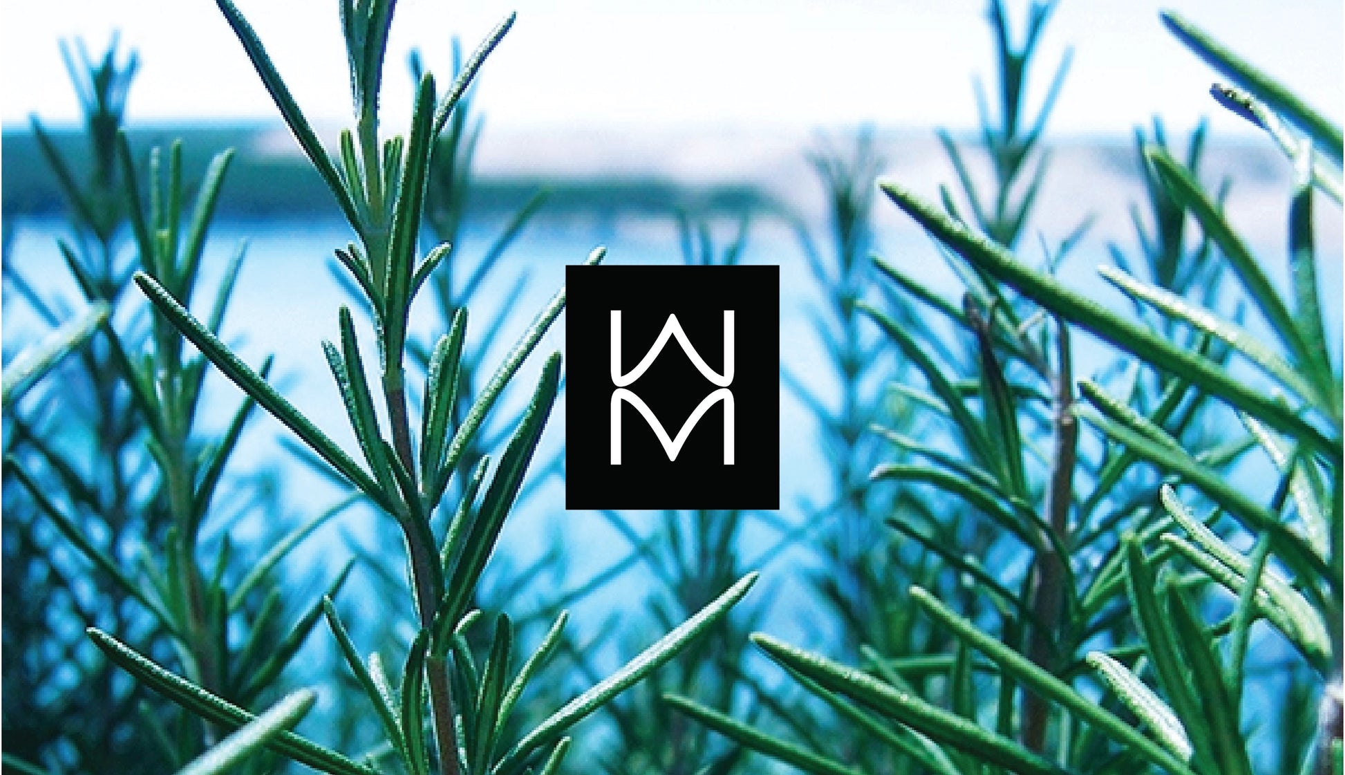 Wild Mary Gift Card design featuring the WM logo over Rosemary sprigs with a blue sea background.