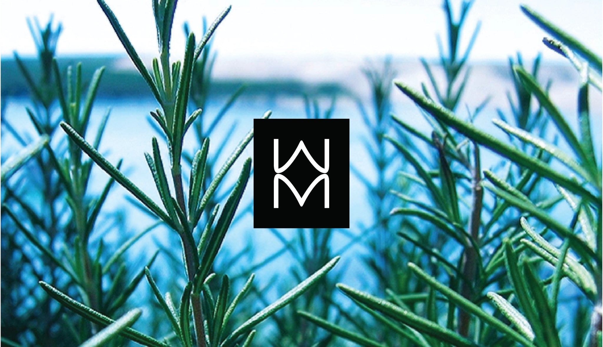 Wild Mary Gift Card design featuring the WM logo over Rosemary sprigs with a blue sea background.